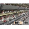 Professional Breeding Chicken Cage