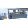 DPP-250FI Blister Packing Machine