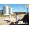 wheat flour making machine installed in Brazil