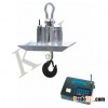 anti-hot crane scale