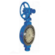 Worm Gear Hard Seal Butterfly Valves :WCB, alloy steel