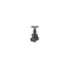 Forged Steel Globe Valves