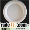 10 inch  disposable biodegradable plate