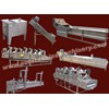 Automatic Plantain Chips Plant