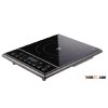 Induction cooker