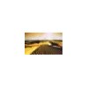 good health--infrared heater