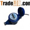 INTELIGENCE REMOTE READING WATER METER
