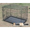 Cage Trap