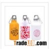 stainlee steel sport bottle