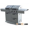 Charcoal & Gas 2 in 1 Grill