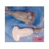 General Purpose Probe Covers