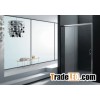 Shower door