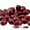 Healthy, Organic Seabuckthorn oil capsules