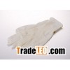 Latex Examination Gloves