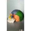 Medical Model