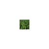 Pure Coenzyme Q10 Ubidecarenone 10% with GMP Standard