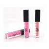 Mirror Effect Lip Gloss