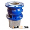 cast iron flange type foot valve with filter