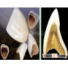 Argen porcelain alloys PFM, Captek Crown