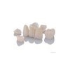 Bright Veneers