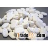 Cyanide Pills