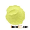 Celery Powder / Celery Extract / Celery Extract Powder