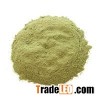 Germany Chives Powder / Dehydrated Chive Powder with Good Quality