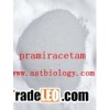 Pramiracetam pramiracetam