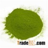 Green Beans Powder / Green Beans Extract Powder from Factory