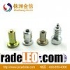 Tungsten Carbide Screw Ice Antiskid Spiral Tire Studs