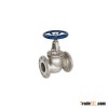 Globe valves