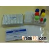 HBeAb ELISA testing Kit
