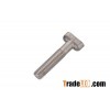 SS304 T Bolts