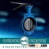 cast iron butterfly valve
