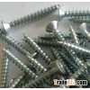 Chipboard Screw Pozi Drive CSK Head