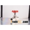 Globe Valve
