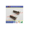 stainless steel phillips pan head self tapping screws