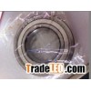6202zz bearing