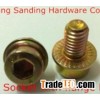 hex socket bolt, hex flange bolt,din912,din6921