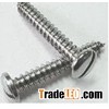 Self-Tapping Screws