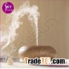 Ultrasonic Air Humidifier for home salon