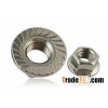 Hex flange nuts DIN6923