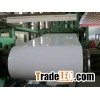 Prepainted Steel Coils