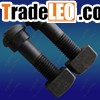 Rail Track Bolts