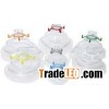 CPAP Mask