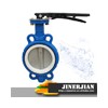 Butterfly Valve