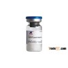 Recombinant carboxypeptidase B