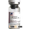 Recombinant Protein A