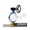 High Quality full PTFE Lined Butterfly Valve