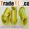 Small head rivet nut supplier